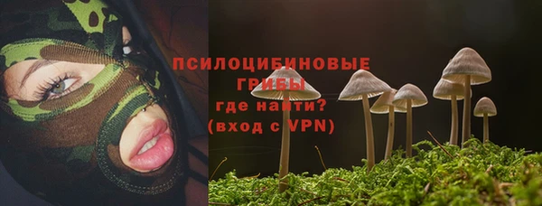 кокс Аркадак