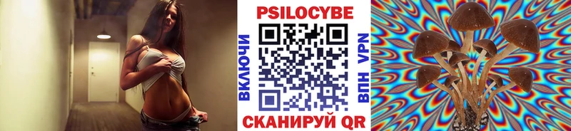 Галлюциногенные грибы прущие грибы  KRAKEN ONION  Новодвинск  что такое  